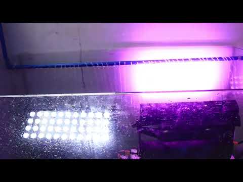 44*10W RGBW 4in1 Waterproof LED Bar Wall Light for Outdoor Use